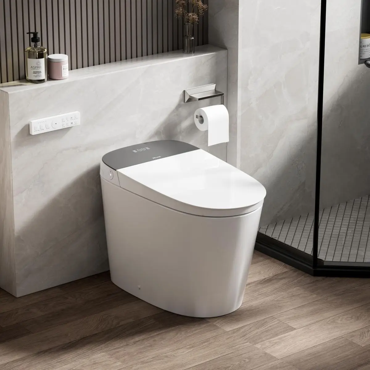Smart Toilets